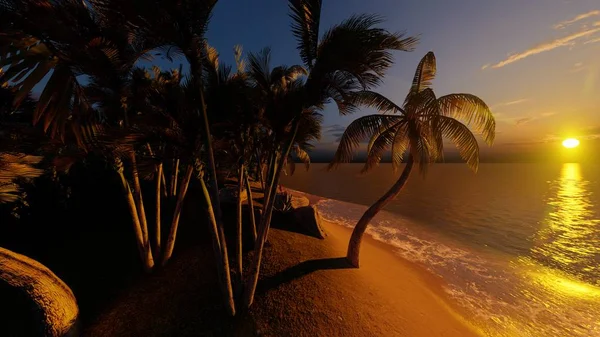 Palmeras Playa Tropical —  Fotos de Stock