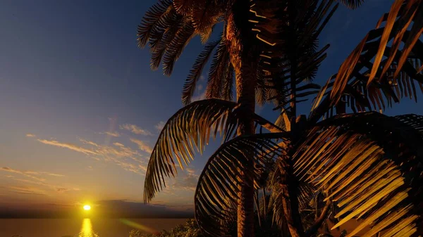 Palm Trees Tropical Beach — Stock Photo, Image