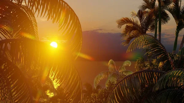 Пальми Тропічний Пляж — стокове фото