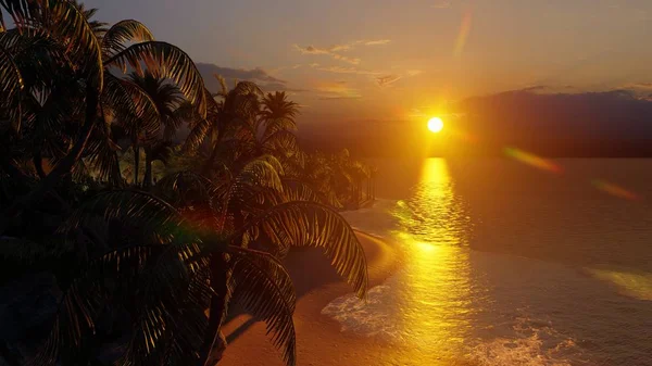 Пальмы Тропический Пляж — стоковое фото