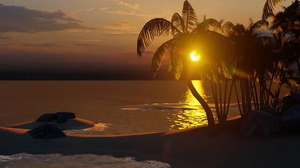 Palm Trees Tropical Beach — Stock Photo, Image