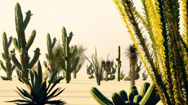 Günbatımı kaktüsler ile çölde