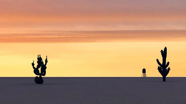 Захід Сонця Пустелі Кактусами — стокове фото