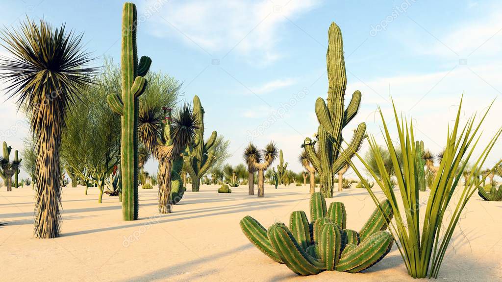 Sunset in the Desert with Cacti 3d rendering