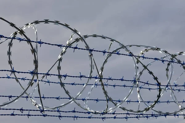 Fence with barbed wire — Stock Photo, Image