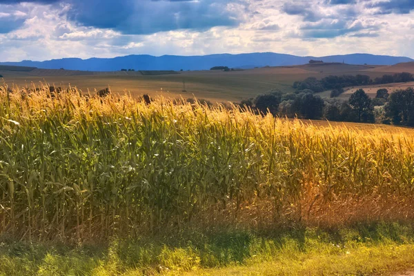 Mooi landschap in het zuiden van Polen in de buurt van Klodzko — Stockfoto