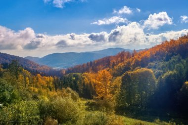 Klodzko yakınlarındaki Güney Polonya'da güzel manzara