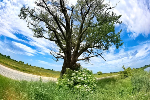 Mooi landschap in het zuiden van Polen in de buurt van Klodzko — Stockfoto