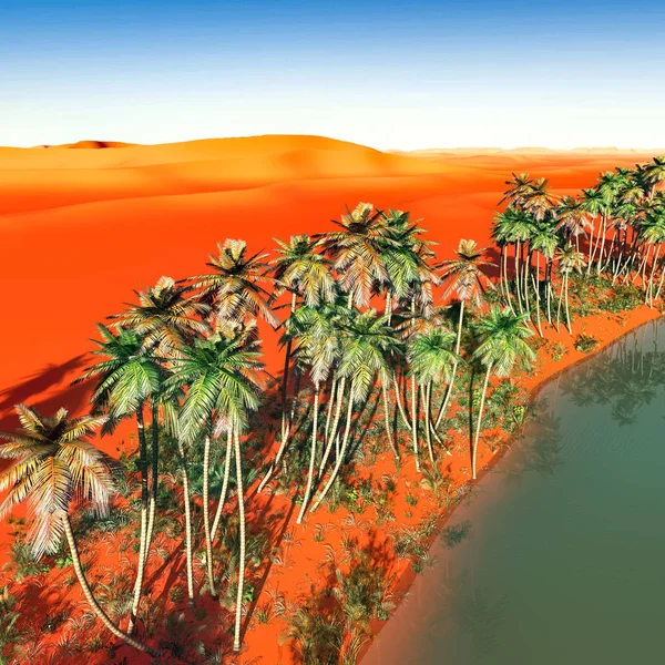 Palm trees near oasis in Africa 3d rendering — Stock Photo, Image