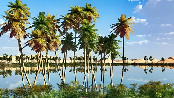 Palmbomen bij oase in Afrika 3d rendering — Stockfoto