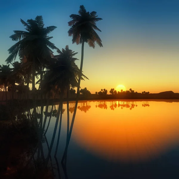 Palmeras cerca de oasis en África 3d rendering —  Fotos de Stock