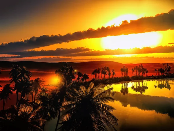 Palmeras cerca de oasis en África 3d rendering — Foto de Stock