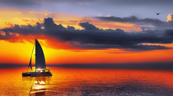 Sunrise в Карибському басейні з Катамаран перед видом 3D рендеринга — стокове фото
