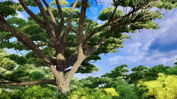 Magnífica antiga árvore de carvalho 3d renderização — Fotografia de Stock