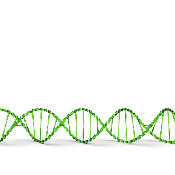 Dna послідовність з її структурою коду 3d рендеринга — стокове фото