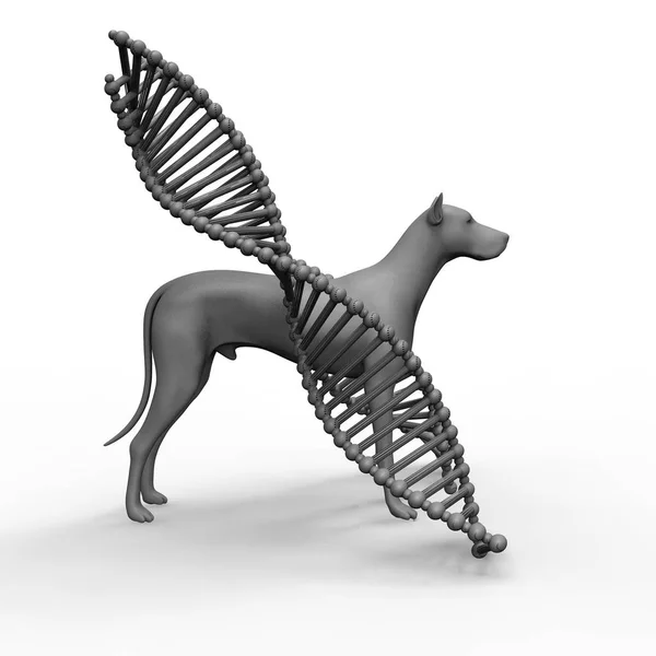 Genetikai kezelés állatorvosi 3D renderelésen Stock Kép