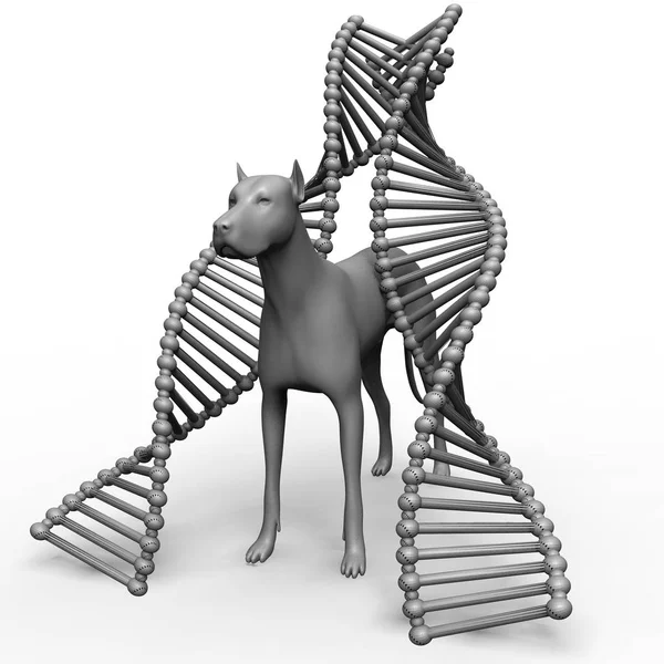 獣医3Dレンダリングにおける遺伝的治療 ロイヤリティフリーのストック画像
