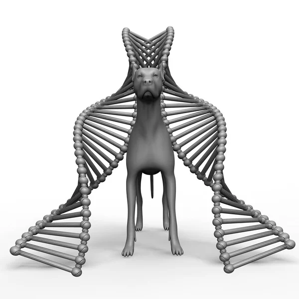 獣医3Dレンダリングにおける遺伝的治療 ストック画像