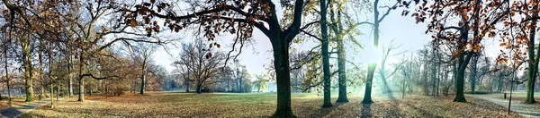 Schöne Blitze in Bäumen in der Herbstzeit — Stockfoto