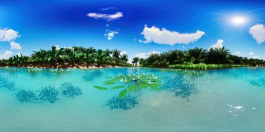 3d illüstrasyon küresel 360 derece, vaha yakın palmiye ağaçlarının dikişsiz panorama