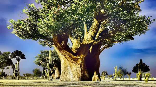 Baobás impressionantes em Africano savana 3D renderização — Fotografia de Stock