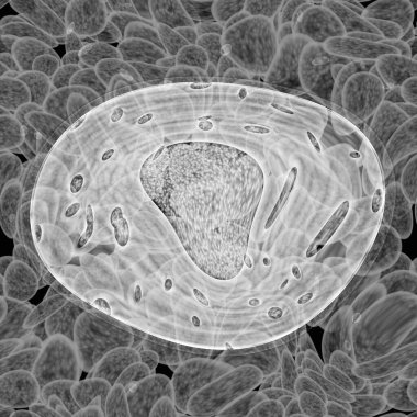 Bakteri büyüme kolonileri 3d oluşturma