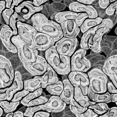 Bakteri büyüme kolonileri 3d oluşturma