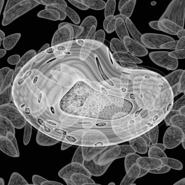 Bakteri büyüme kolonileri 3d oluşturma