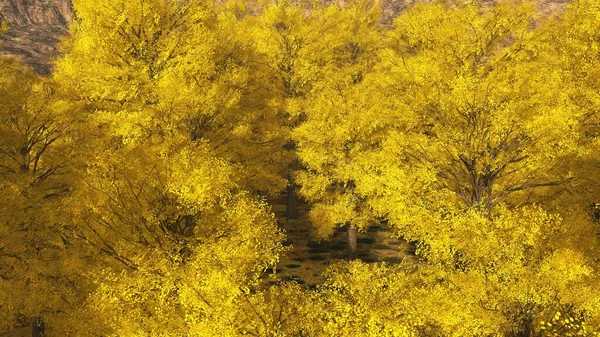 Aspenské údolí v Coloradu na podzim — Stock fotografie
