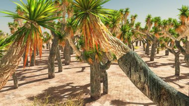 Joshua Tree Ulusal Parkı, ABD 3D görüntüleme