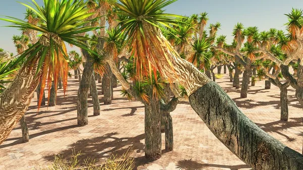 Parco nazionale di Joshua Tree, Stati Uniti d'America rendering 3d — Foto Stock