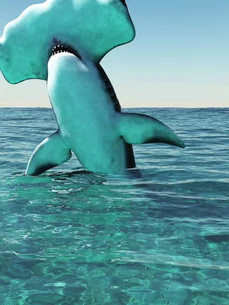 Great hammerhead, Sphyrna mokarran 3d rendering — Stock Photo, Image