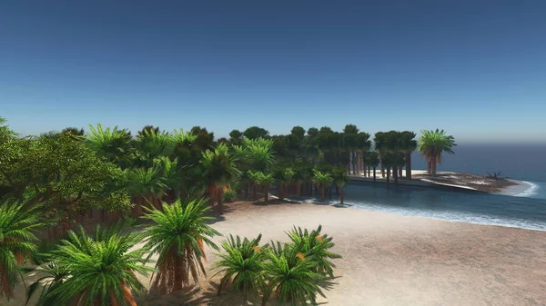 Palms on the tropical beach 3d rendering — Stock Photo, Image