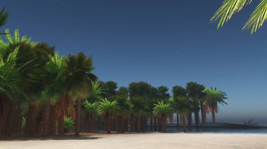 Tropik plajda avuç içleri 3 boyutlu.