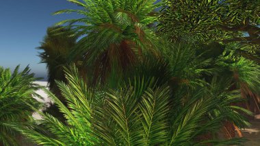 Tropik plajda avuç içleri 3 boyutlu.