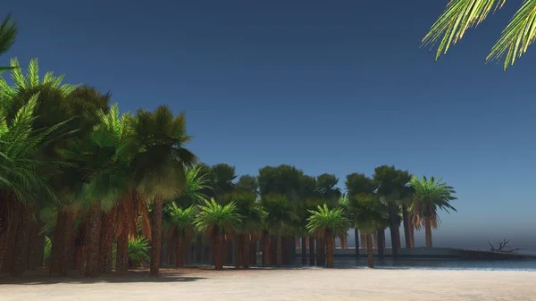 Palms a trópusi strandon 3d renderelés — Stock Fotó