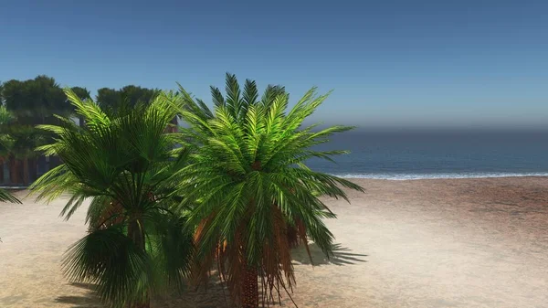 Palmeras en la playa tropical 3d renderizado — Foto de Stock