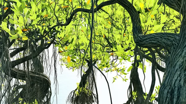 Červené mangroves na pobřeží Floridy 3d rendering — Stock fotografie