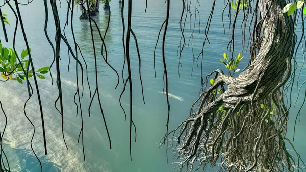 Red mangroves on Florida coast 3d rendering — Stock Photo, Image