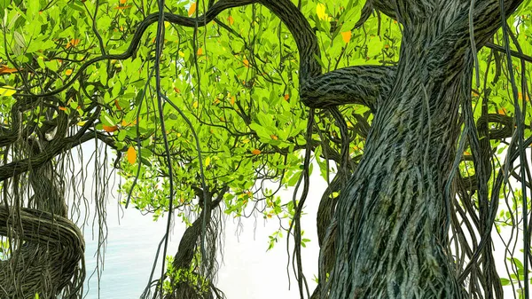 Manguezais vermelhos na costa da Flórida 3d renderização — Fotografia de Stock