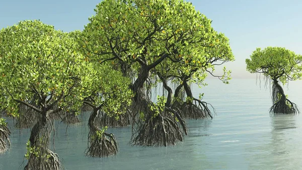 Червоні мангри на узбережжі Флориди 3d рендеринг Ліцензійні Стокові Зображення
