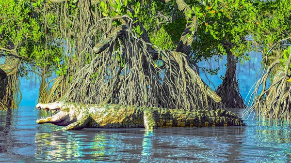 Červené mangroves na pobřeží Floridy 3d rendering — Stock fotografie