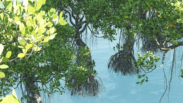 佛罗里达海岸红树3D渲染 — 图库照片