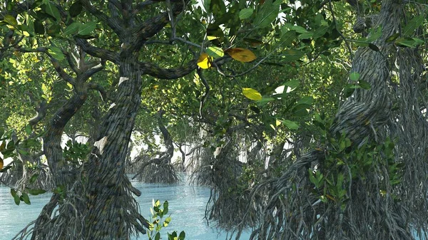 Mangrovie rosse sulla costa della Florida rendering 3d Foto Stock Royalty Free