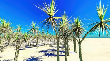 Mojave yukka bitkisi ABD 'nin Kaliforniya' daki Joshua Tree Ulusal Parkı 'nda.