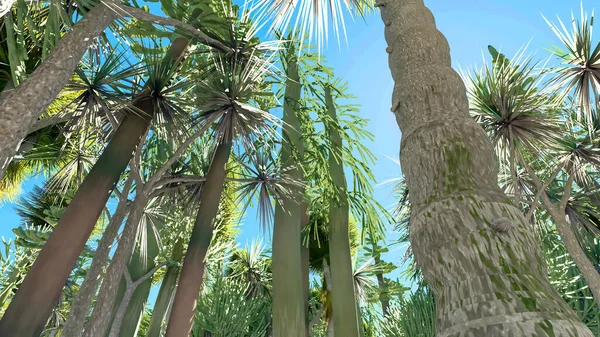 Mojave yucca planta em Joshua Tree National Park na Califórnia nos EUA 3d renderização — Fotografia de Stock