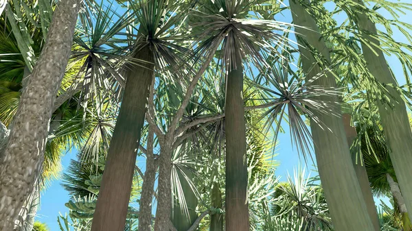 미국 캘리포니아주 조슈아 트리 국립 공원에 있는 모 자브 유카 식물, 미국 3d 렌더링 스톡 사진