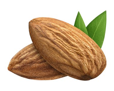 Paket tasarım öğesi beyaz arka plan olarak yaprak kabuk olmadan iki badem izole kapatmak. Grup somun makro kavramı