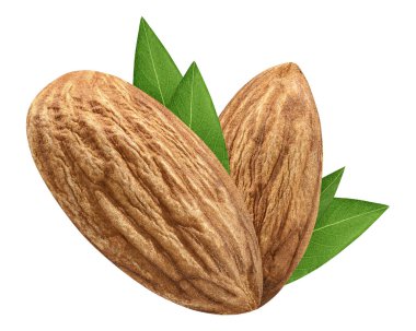 Paket tasarım öğesi beyaz arka plan olarak yaprak kabuk olmadan iki badem izole kapatmak. Grup somun makro kavramı