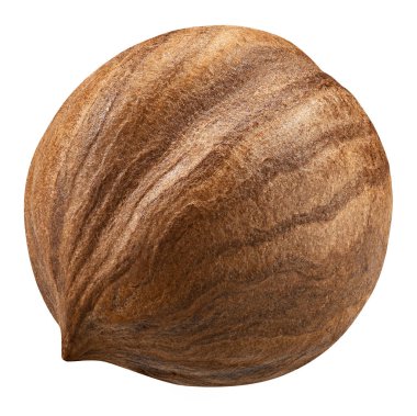 Fındık kabuğu olmadan closeup paket tasarım öğeleri izole. Beyaz arka plan üzerinde taze organik fındık. Somun makro. Koleksiyonu